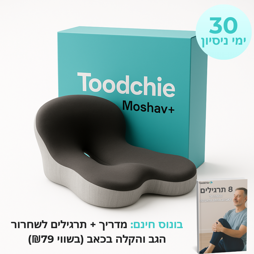 מושב+ | כרית ישיבה ארגונומית