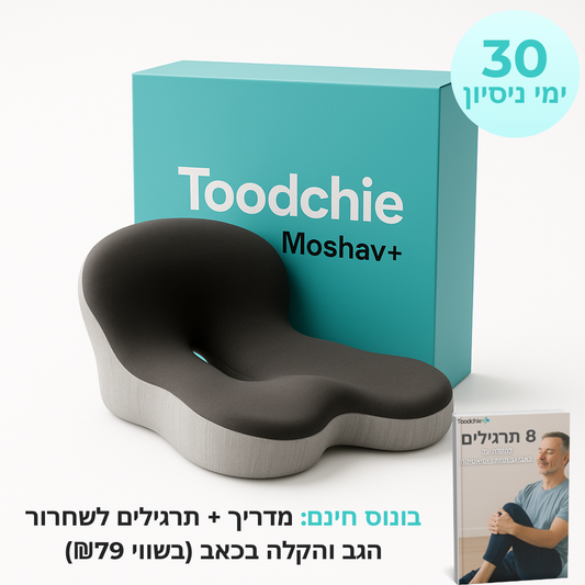מושב+ | כרית ישיבה ארגונומית
