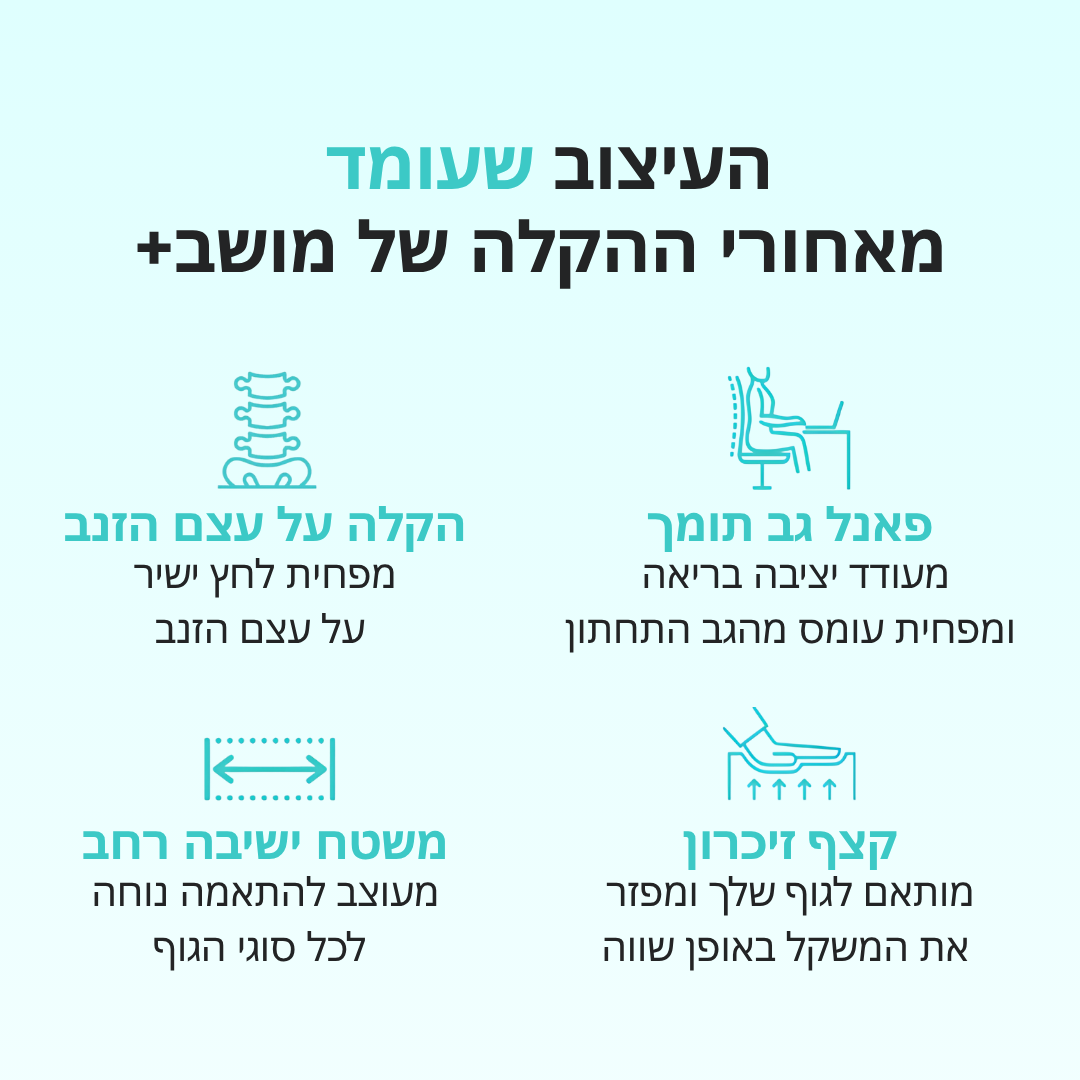 מושב+ | כרית ישיבה ארגונומית