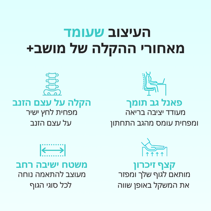 מושב+ | כרית ישיבה ארגונומית