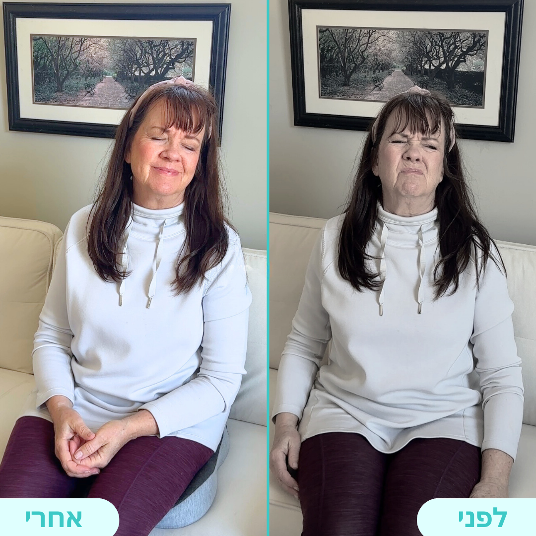 מושב+ | כרית ישיבה ארגונומית